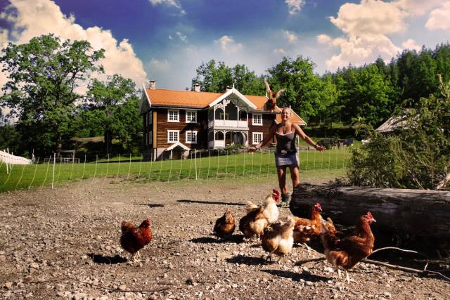 En person som går blant høner foran et stort hus med rød tak og hvite detaljer, omgitt av grønne trær.