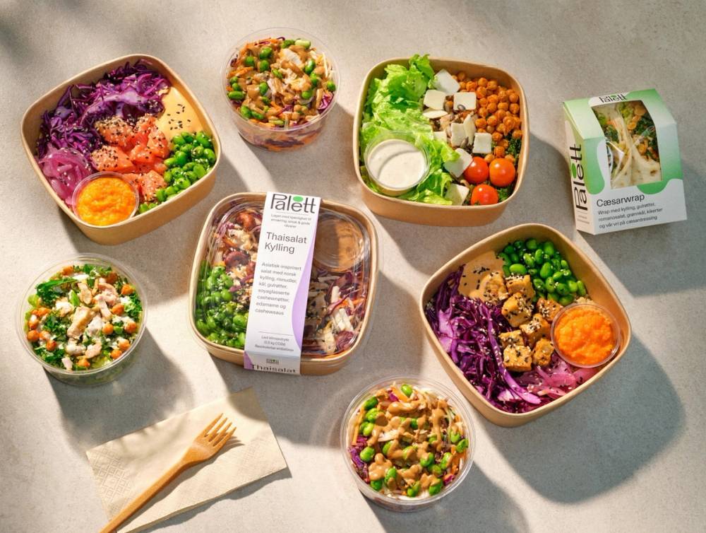 Et utvalg av ferdigmat i ulike plastbokser og en liten salat med grønnsaker, servert på et bord med en skje og en papirserviett.