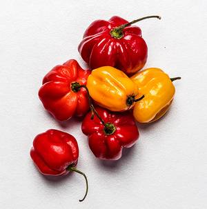 Fargerike habanero-chilipepper i rødt og gult på en hvit bakgrunn