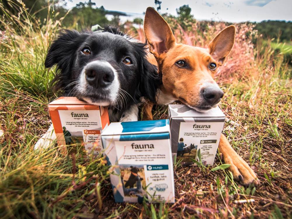 To hunder, en svart og en brun, ligger i gress med fauna hundemat foran seg.