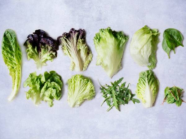 Ulike typer salat og bladgrønnsaker på et hvitt underlag, som kan være en del av en salatskole.