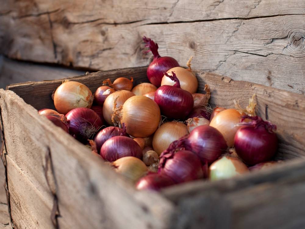 Løk i ulike farger, gul og rød, i en trekurv eller eske.