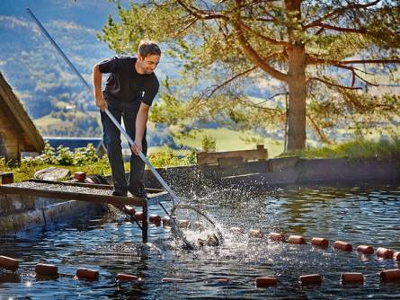 Person som står på en brygge og raker ut noe i vannet ved Nordaker gård i Hedmark og Oppland, med trær og fjell i bakgrunnen.