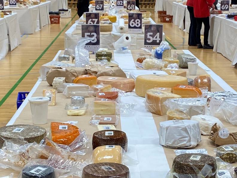 Et lang bord dekket med ulike typer ost, hver merket med nummer, i en innendørs utstilling eller marked.
