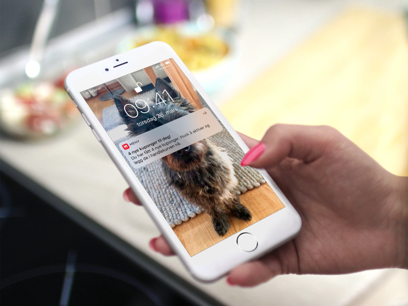 En person holder en smarttelefon som viser en push-varsling om en kupong fra en app, med en hund i bakgrunnen.