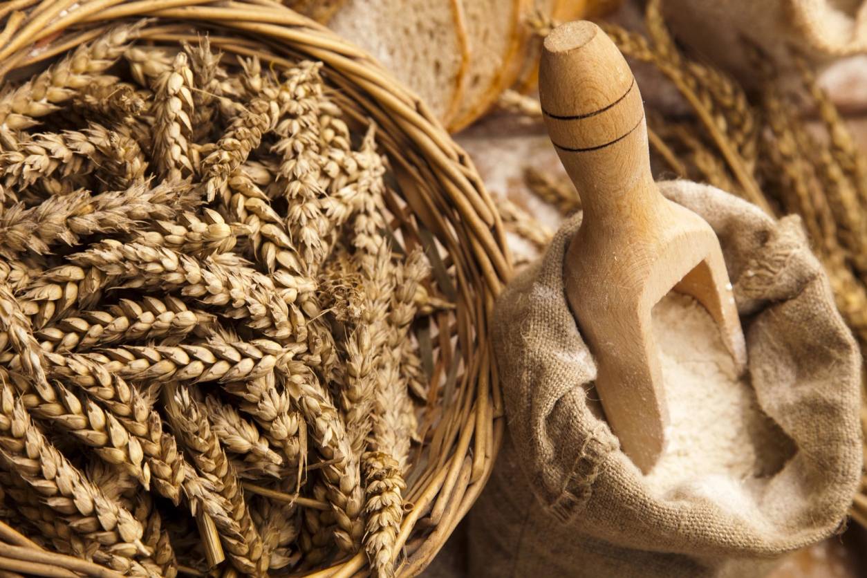 En kurv full av modne hveteaks, omgitt av korn og jordnære farger.