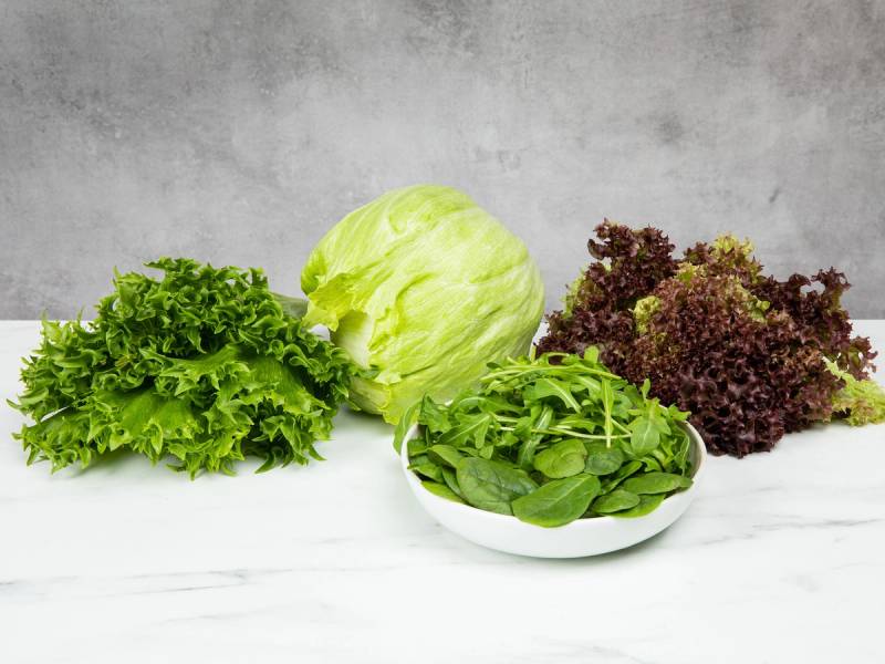 Ulike typer salat, inkludert grønn og rød salat, lagt på en hvit overflate mot en grå bakgrunn.