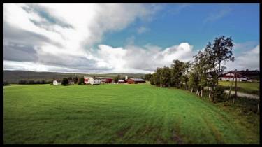 En grønn eng med bygninger og trær i bakgrunnen på Galåvolden Gård.