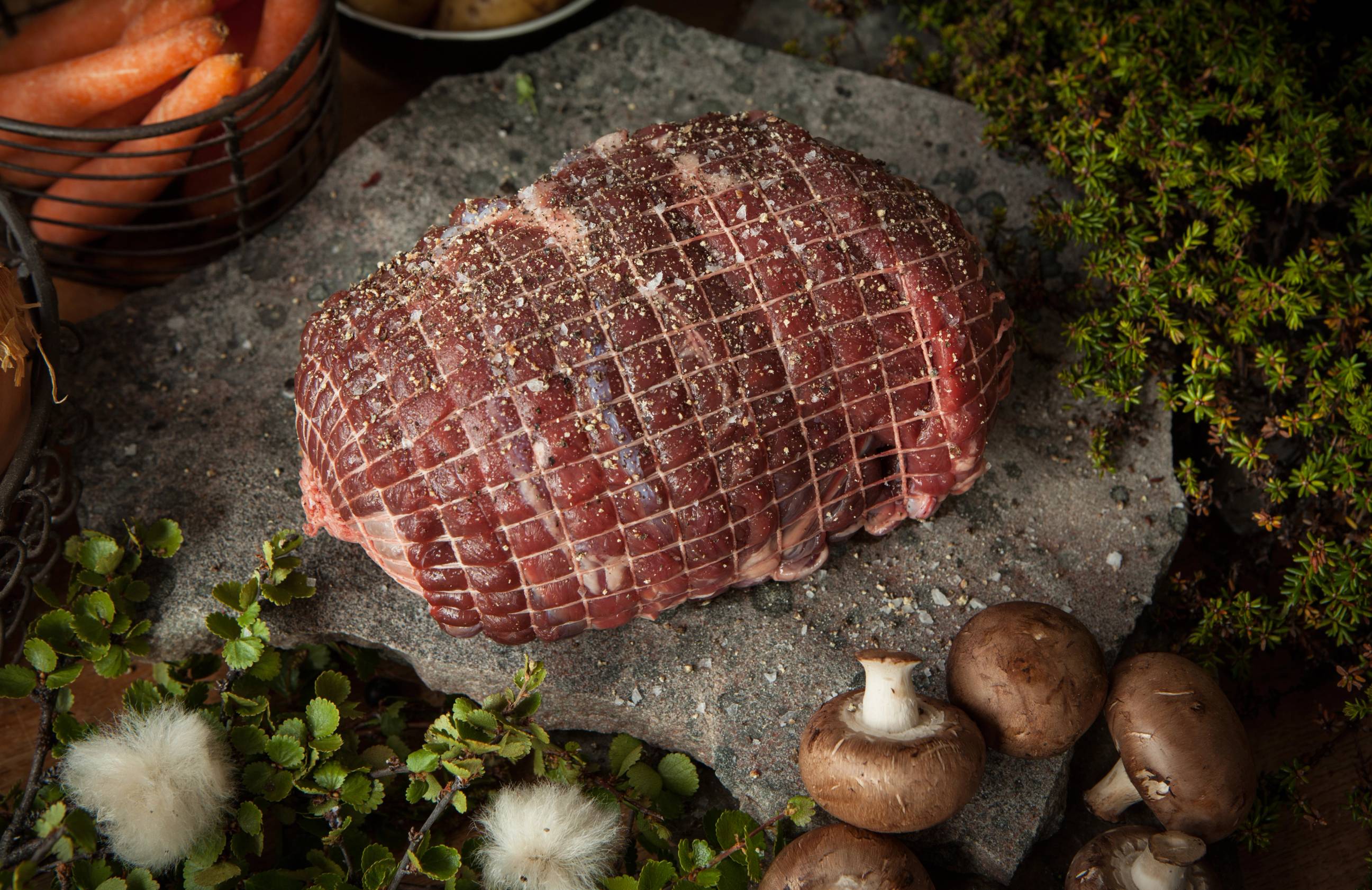 Et stykke rått kjøtt, sannsynligvis rein, ligger på en stein omgitt av sopp og planter.