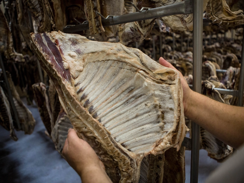 En person holder et stort, åpent skjell med en hånd, omgitt av tørkede sjømatprodukter på en utstilling eller i en butikk.