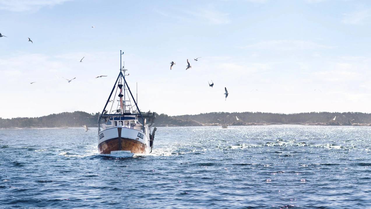 Fiskebåt på sjøen, omringet av måker.