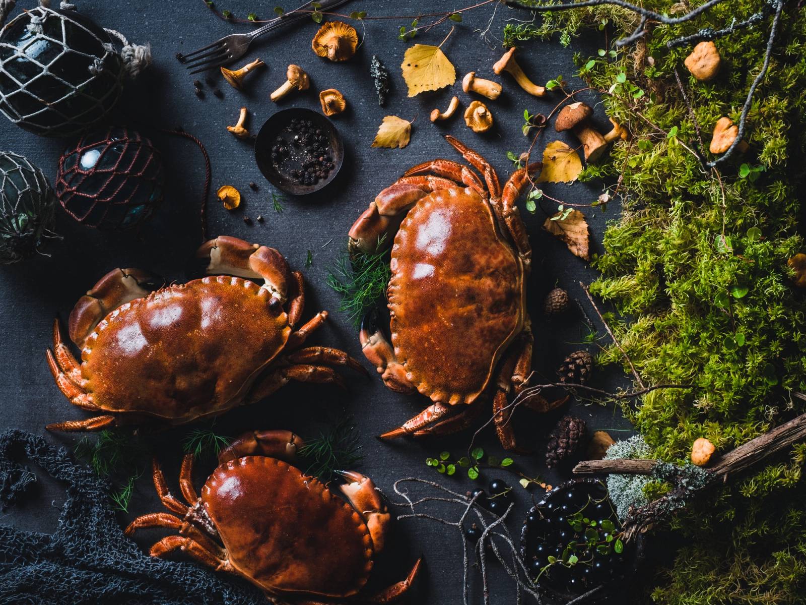 Høstmat med krabber, sopp og grønne urter på en mørk bakgrunn