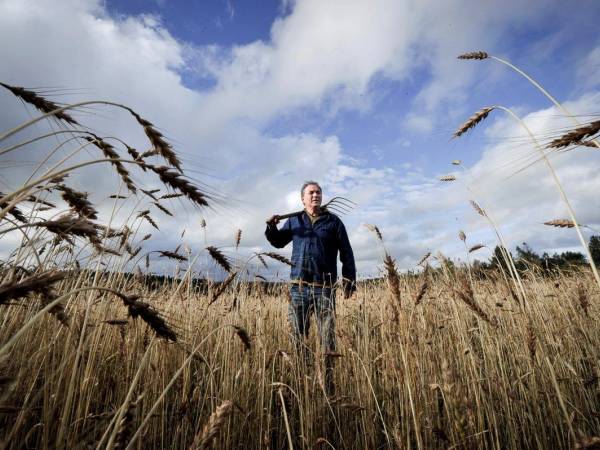 En mann står i en åker med høstfarger under en skyet himmel, iført jakke og ser mot kameraet.