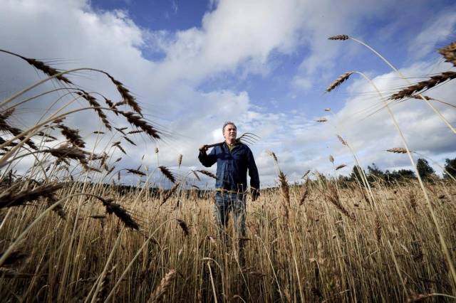 En mann står i en åker med høstfarger under en skyet himmel, iført jakke og ser mot kameraet.