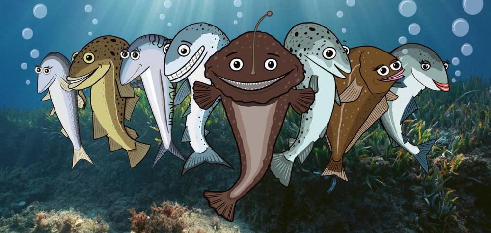 Samlebilde av fiskene i MENYs Fiskeknappen-konsept.