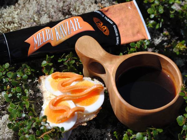 En pakke med Melbu-kaviar, et glass med kaviar, en skje og en brødskive med egg og laks, plassert på en stein med grønt gress rundt.