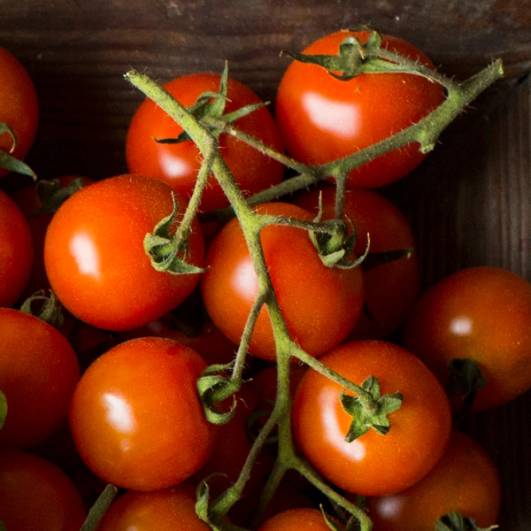 Klare, oransje cherrytomater på en gren, liggende på en mørk bakgrunn.
