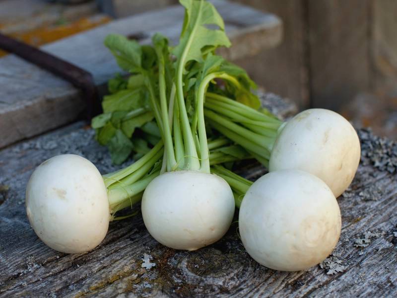 Fire hvite runde rotgrønnsaker med grønne stilker ligger på en treflate.