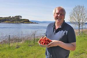 En person holder en skål med jordbær ved sjøen på Charlottenborg i Østfold, med trær og vann i bakgrunnen.