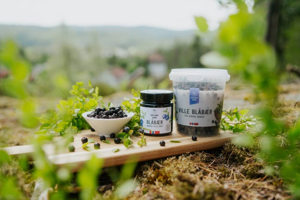 To glass- eller plastkrukker med blåbær, omgitt av blåbær på en treplate i en hage, med grønne blader og trær i bakgrunnen.