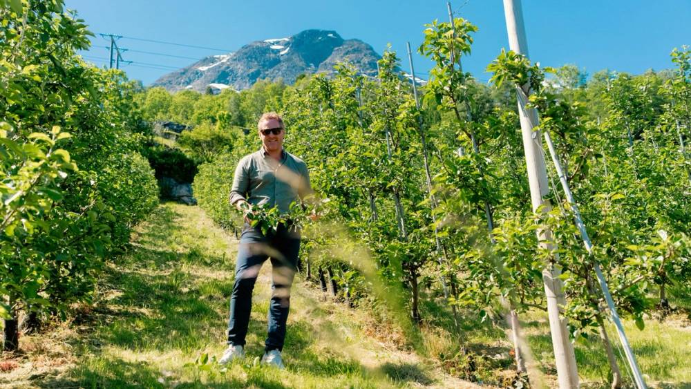Gjermund Åkre i eplehagen på gården