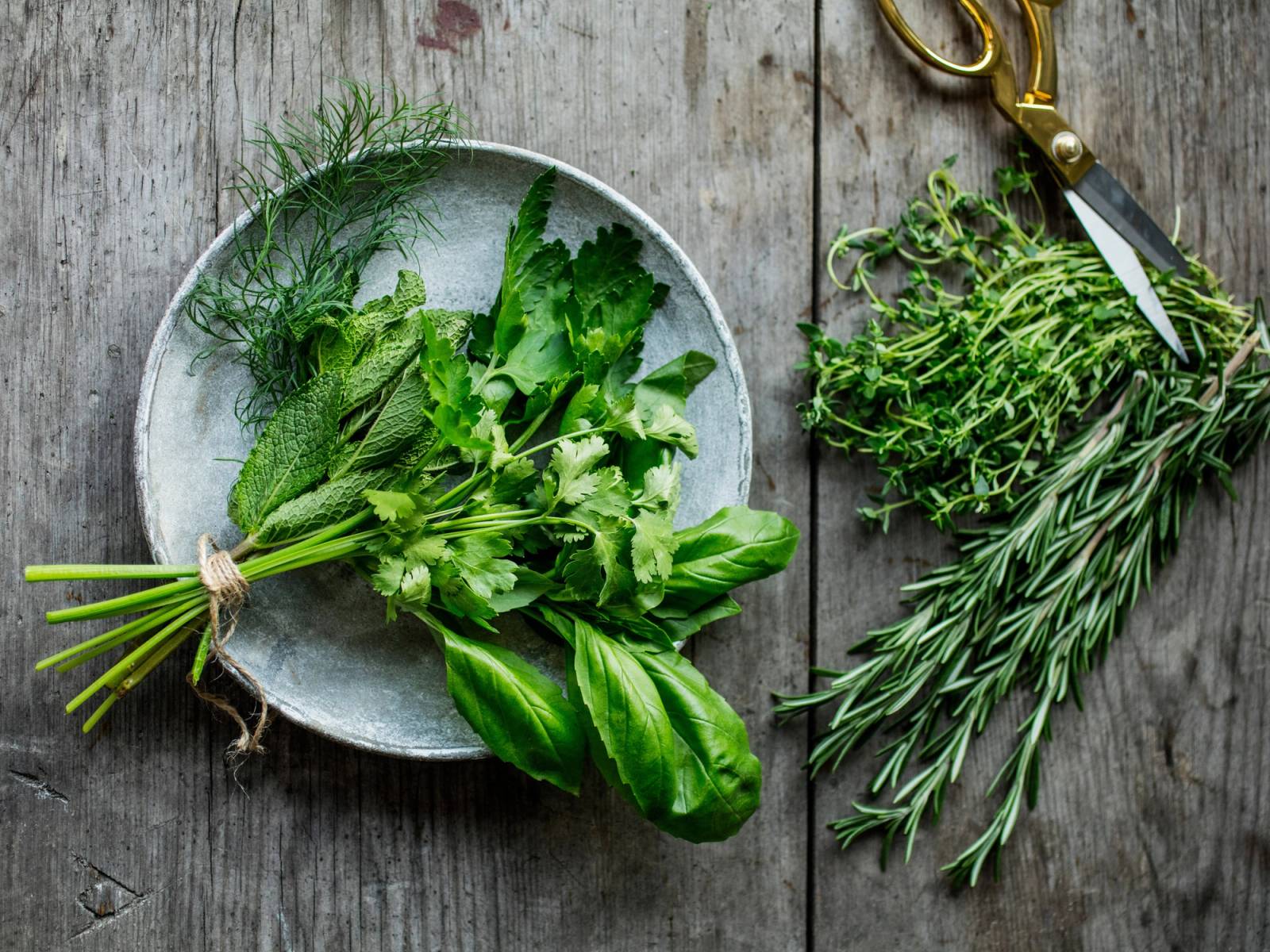 Friske urter som basilikum, mynte, og rosmarin ligger på en treplate med en saks ved siden av.
