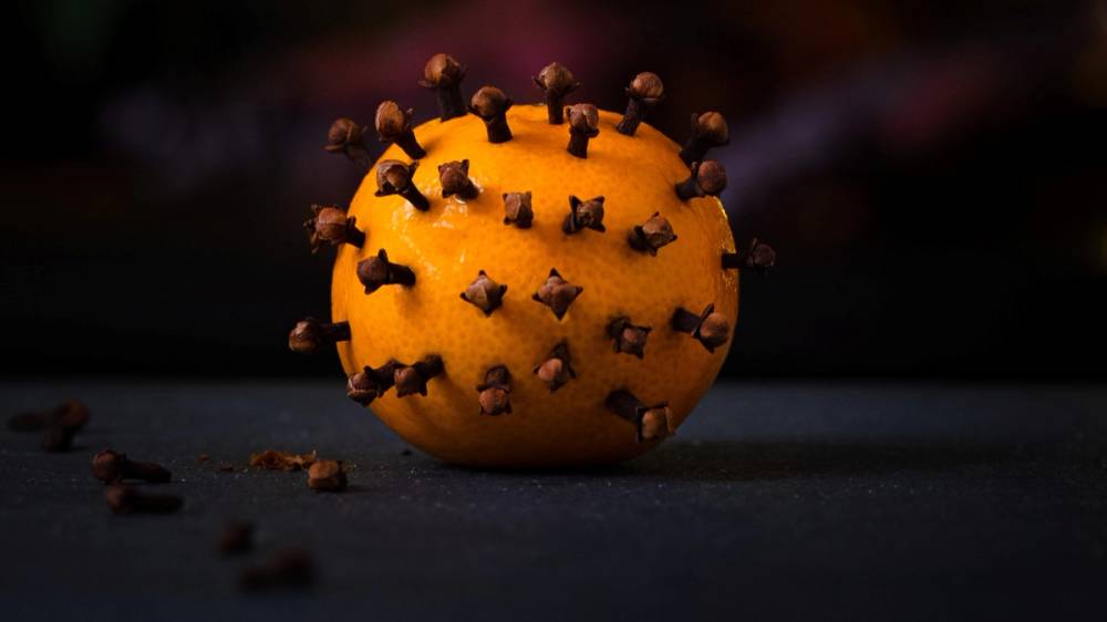 En coronaklementin med flere nellikspiker satt inn i skallet, plassert på en mørk bakgrunn.