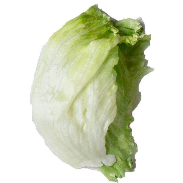 En frisk isbergsalat med lysegrønne blader og sprø tekstur.