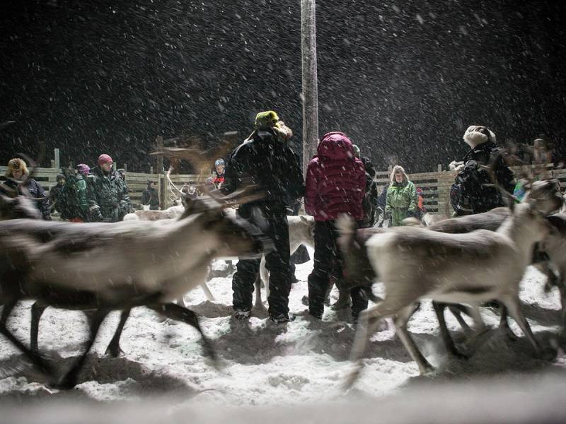 Personer og dyr som går i snøvær, med trær og en hekk i bakgrunnen, som kan representere ulike årstider.
