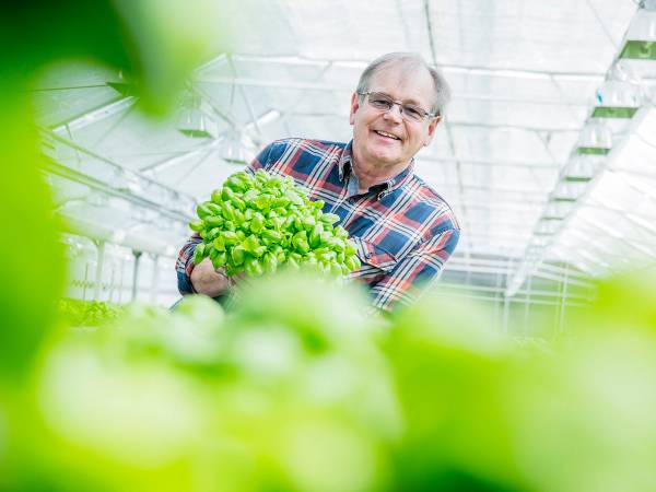 Person som holder en stor haug med grønne planter i et drivhus hos Snarum-Gartneri i Lier.