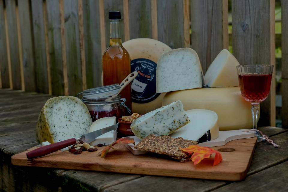 Utsikt over et ostefat med ulike oster, kjeks, syltetøy, en flaske og et glass rødvin på et bord utendørs med en tre- og gjerde i bakgrunnen.