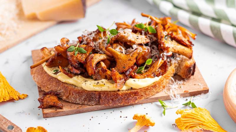Kantarell toast