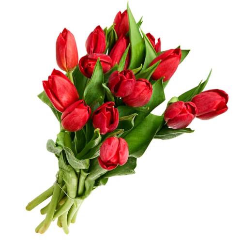 En bukett med røde tulipaner med grønne blader og stilker.