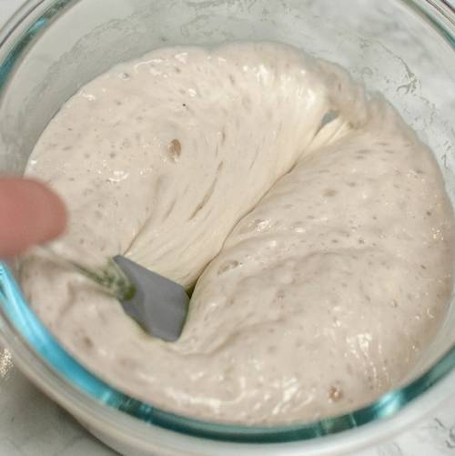 Ferdig hevet poolish dekket i en glassbolle med en grå slikkepott som stikker inn i deigen.