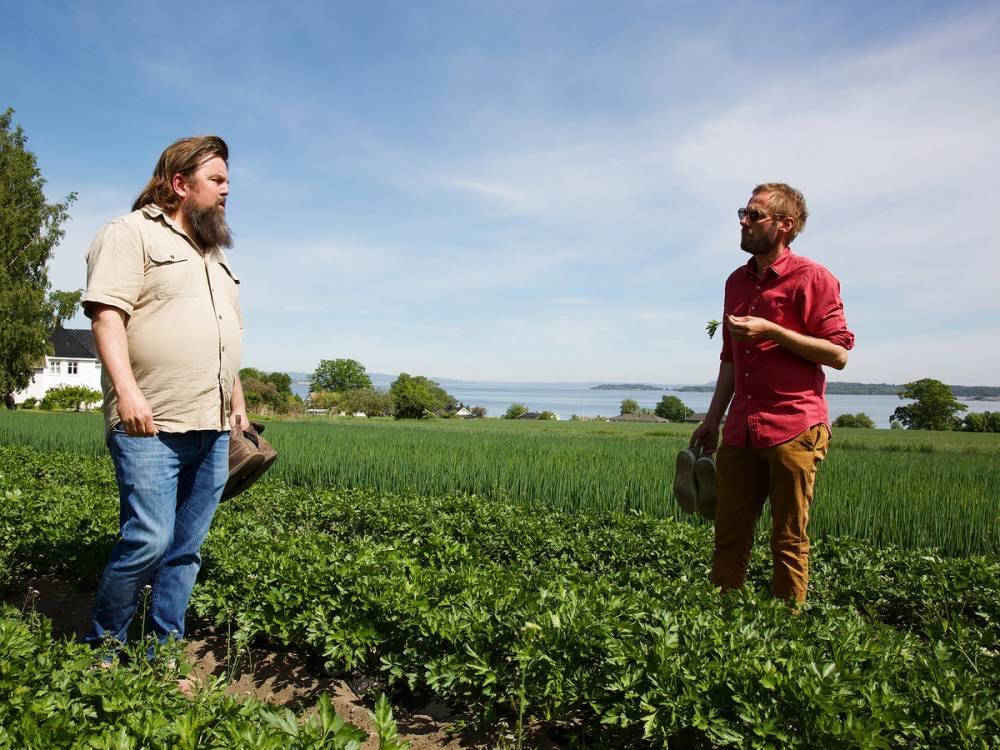 To menn står og snakker i en åker med grønt plantemateriale under en klar himmel, med vann og trær i bakgrunnen.