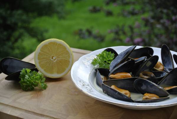 Blåskjell servert med sitron og fersk persille på en hvit tallerken, med en sitronhalvdel og mer persille ved siden av, på et trebord utendørs.