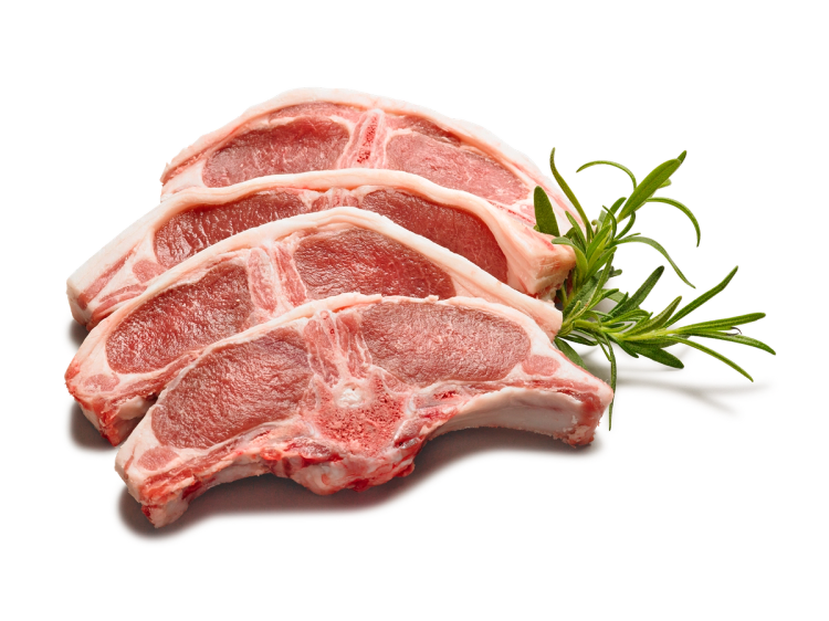 Fire rå lammekoteletter med en kvist rosmarin ved siden av på en hvit bakgrunn