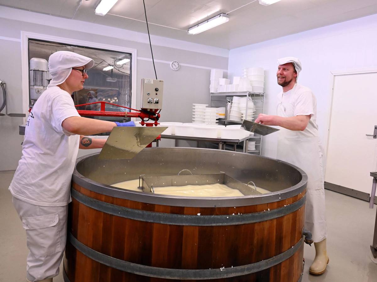 To personer i hvite arbeidstøy jobber i et ysteri med en stor rund ostekar i midten av rommet.