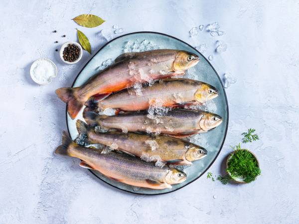 Fem telemarkrøyer ligger på en tallerken med is, omgitt av urter og krydderurter.