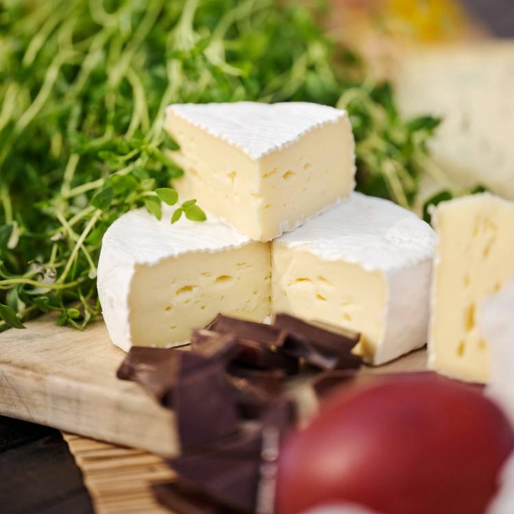 Tre stykker hvit ost med myk konsistens og hvit skorpe, omgitt av grønt gress og sjokoladebiter på en treplate.