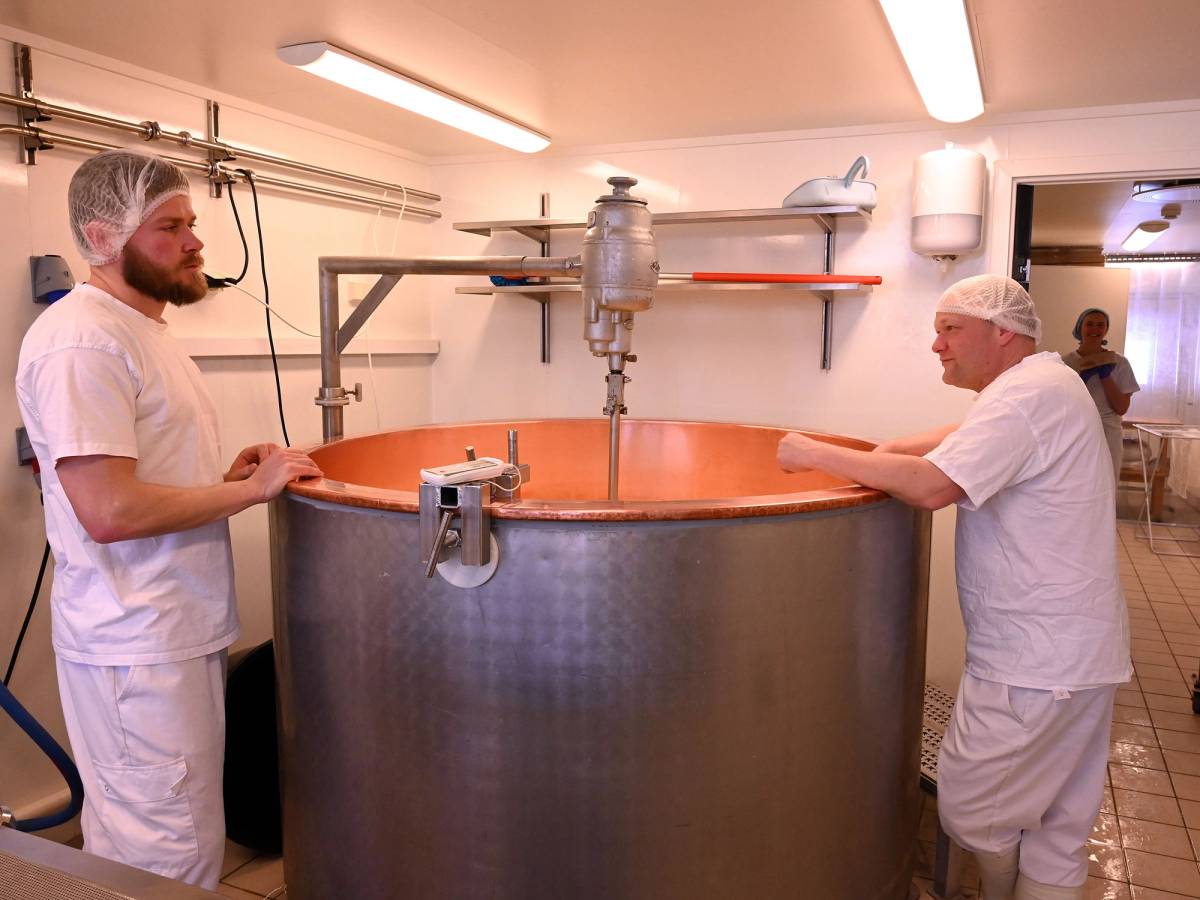 To personer i hvite klær jobber med ostemasse i en stor rund ostekar i et ysteri.