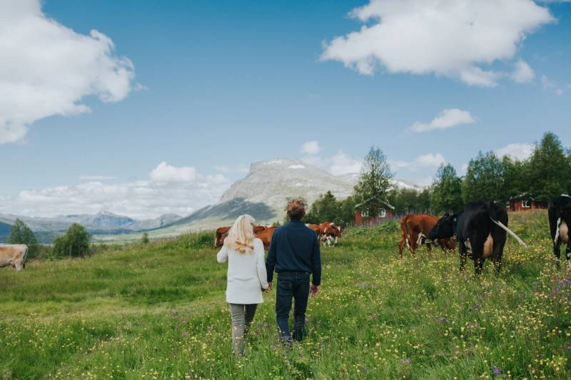 To personer går i en grønn eng med hester og fjell i bakgrunnen på en klar dag.