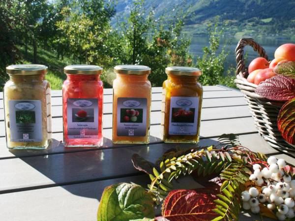 Utsikt over en uteplass med fire glass med ulike fargede geléer eller sauser, omgitt av høstblader og bær, med en sjø og fjell i bakgrunnen.