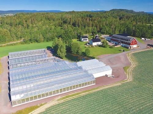Et stort drivhusområde med flere glasshus omgitt av grønne marker og skog i bakgrunnen, sannsynligvis en planteskole eller drivhusanlegg i Vestfold.