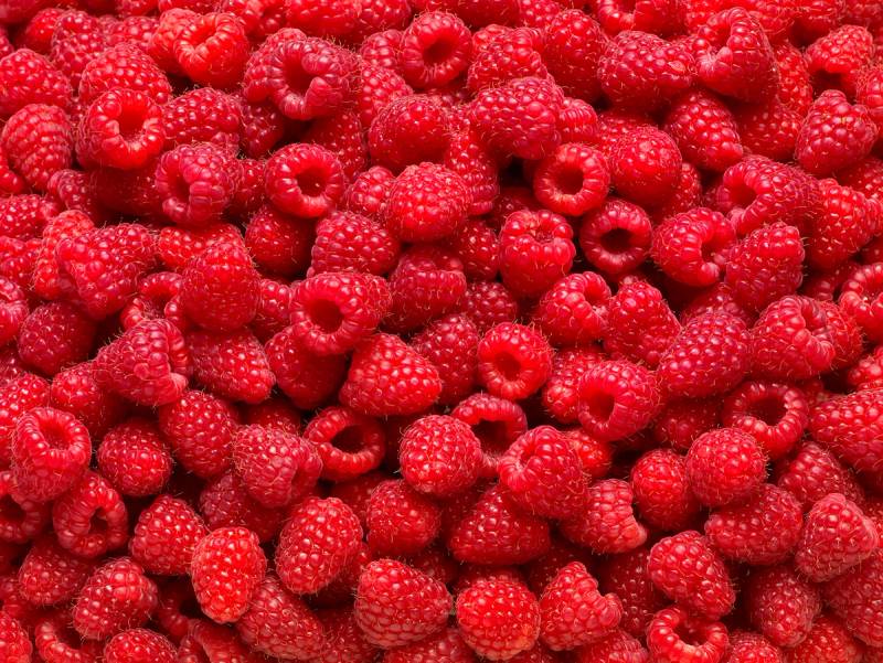 Et stort antall friske bringebær som dekker hele bildet.