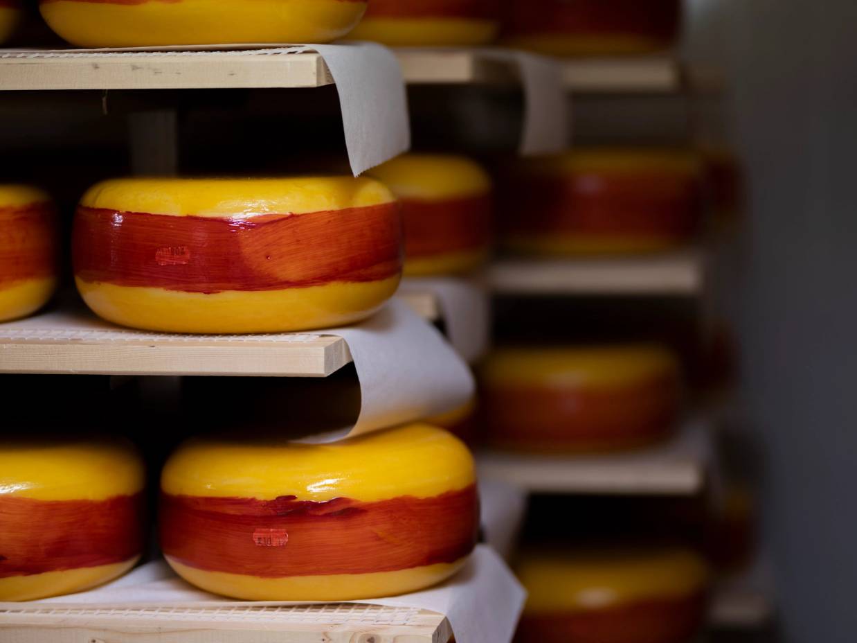 Ost med gul og rød farge på en lagerhylle.