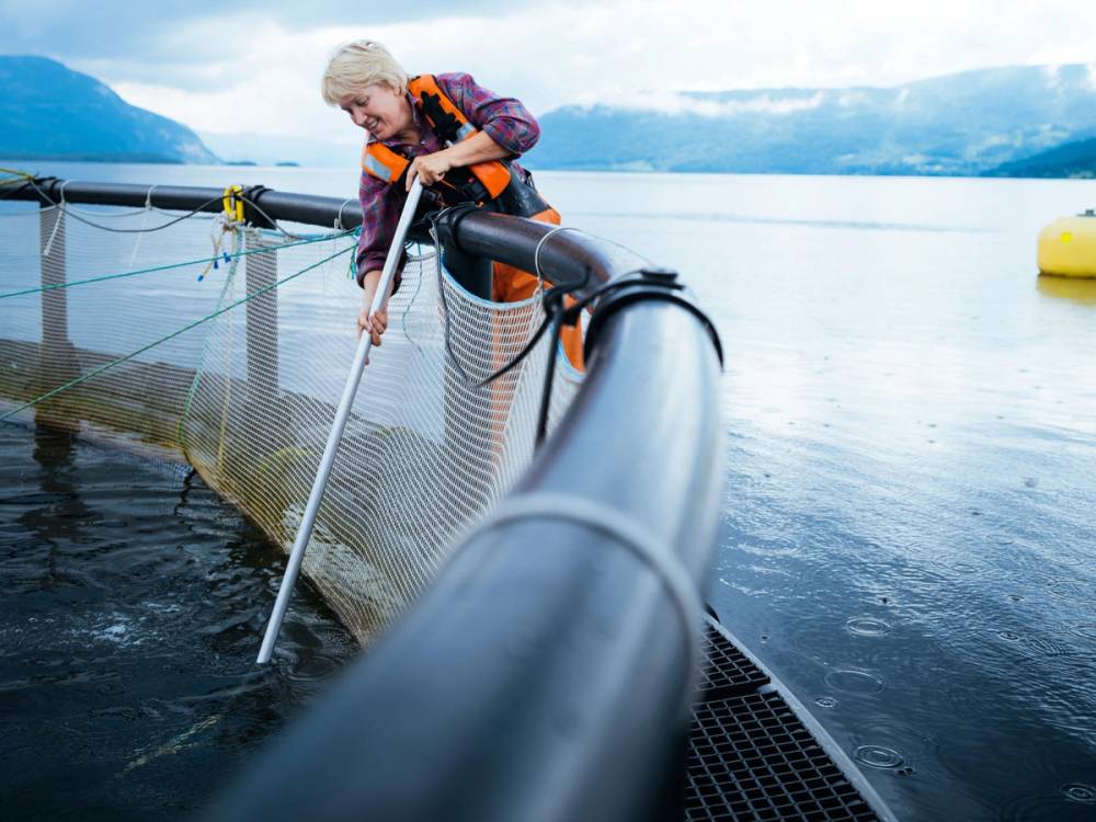 En person som fisker i en vannkonteiner med fjell og vann i bakgrunnen.
