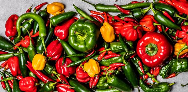 Et utvalg av grønne, røde og gule chili- og paprikaer i en kampanjebildekomposisjon.