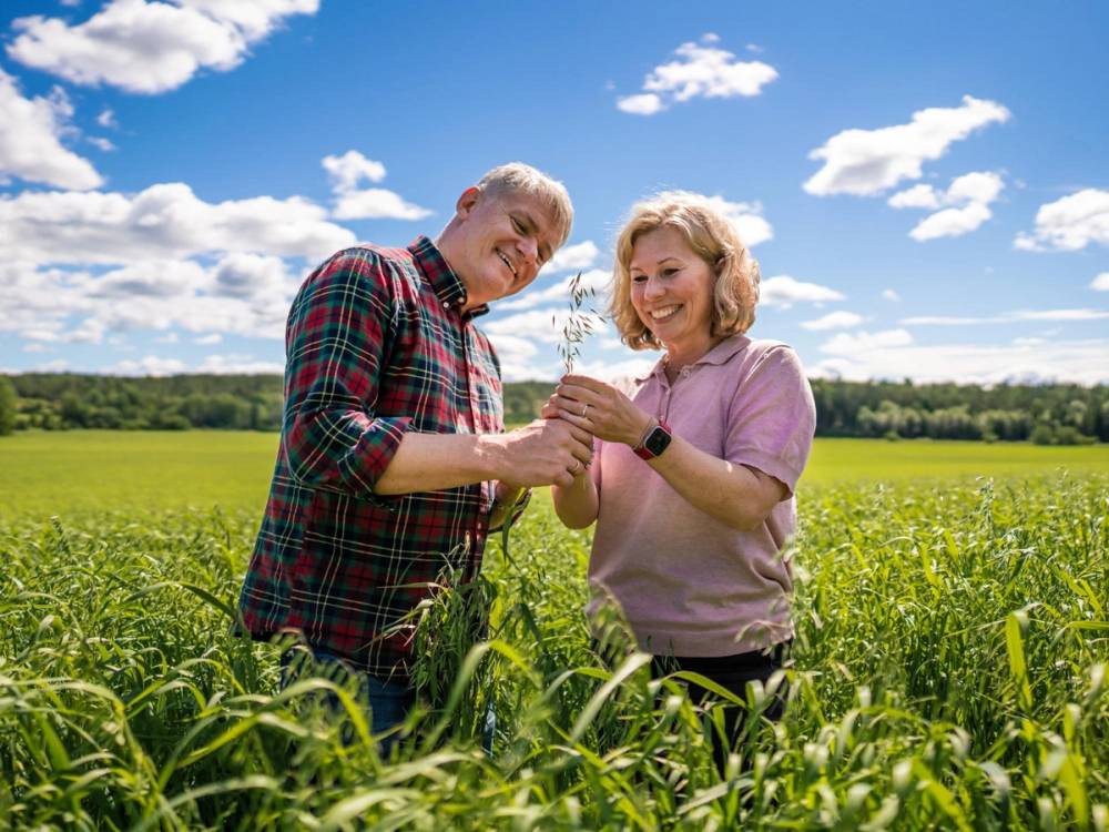 Johan og Ingunn Anstensrud sjekker svarthavre i åkeren.