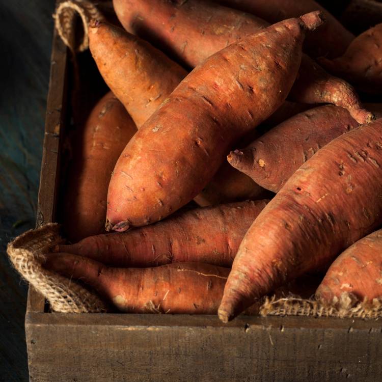 Grove, oransje søtpoteter i en trekasse